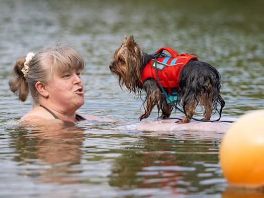 Hundebaden in Dresden erweist sich als voller Erfolg