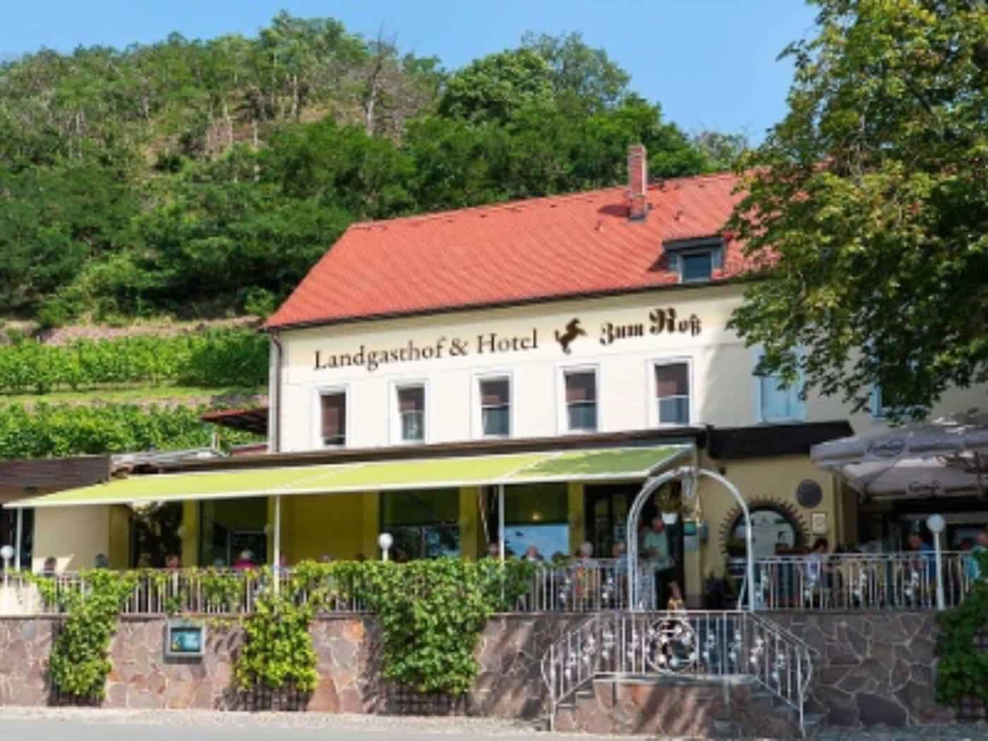 Weinberge, Elbblick, Lutherplatz: Drei Elbland-Betriebe unter Sachsens Gästelieblingen