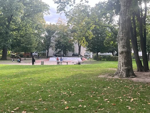 Blick über eine grüne Rasenfläche im Rothermundtpark mit einem mächtigen Baumstamm rechts. Im Hintergrund ist eine kleine Skaterrampe mit Jugendlichen, Tischtennisplatte und abgestellten Fahrrädern vor Bäumen und Häusern zu sehen.