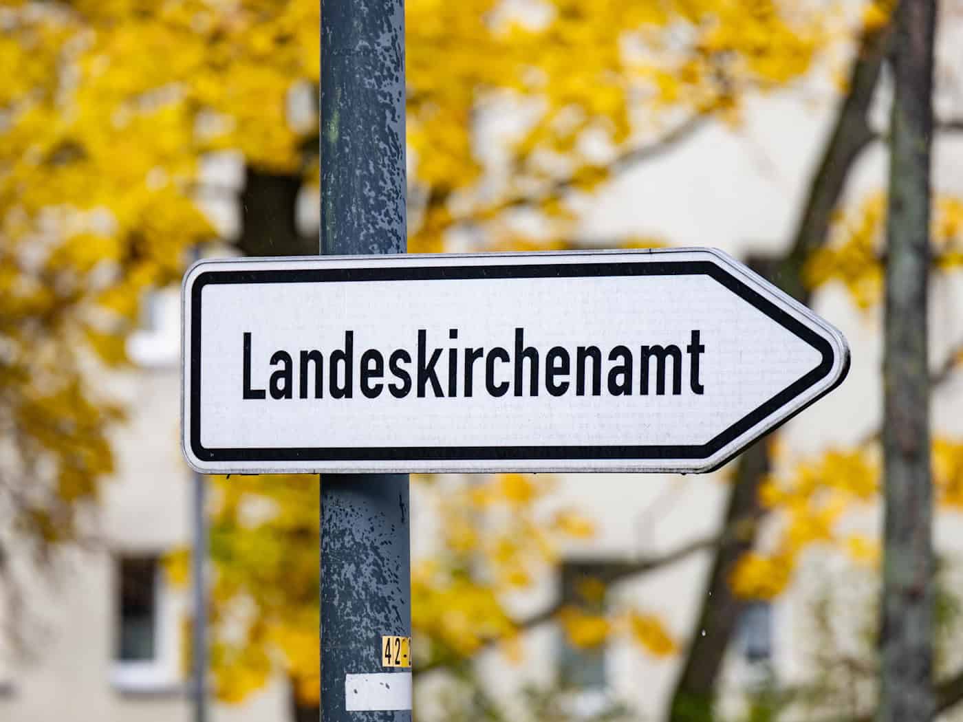 Sachsens Kirchgemeinden wählen neue Vorstände