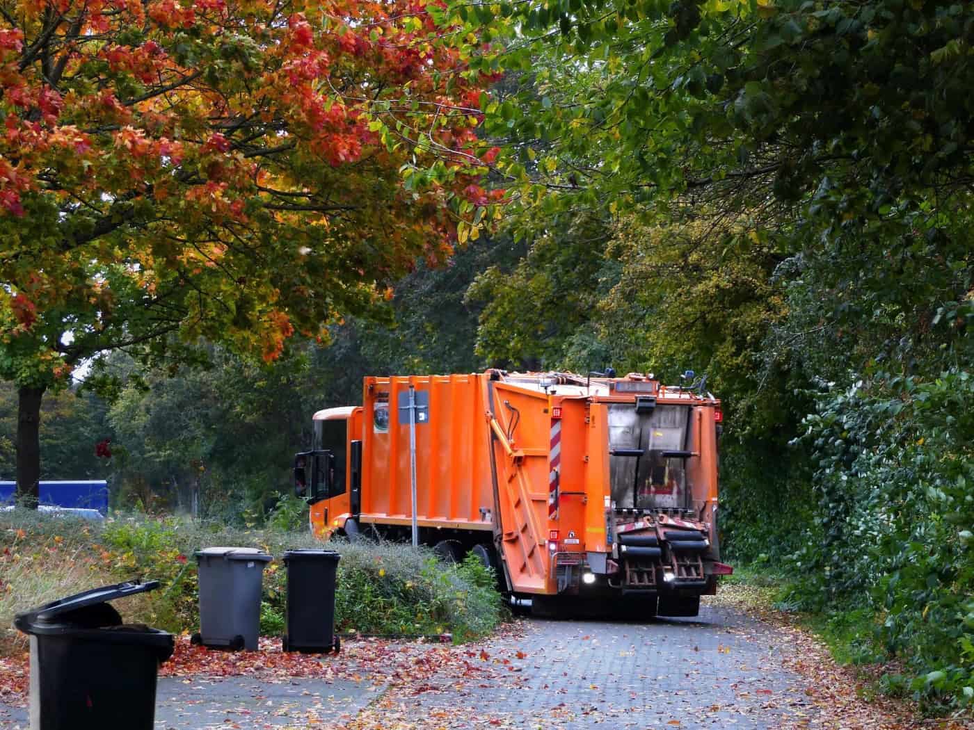 Ein orangefarbenes Müllfahrzeug fährt auf einem Weg unter bunt belaubten Herbstbäumen. Im Vordergrund stehen graue und schwarze Mülltonnen auf mit buntem Laub bedecktem Boden.