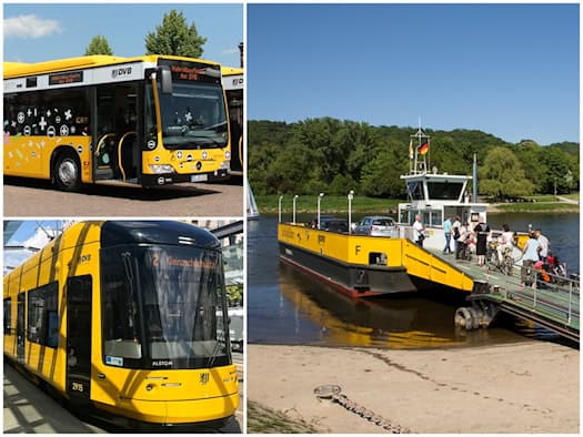 Dreiteilige Fotocollage zum DVB-Nahverkehr: Oben links ein gelber Hybridbus, unten links eine gelbe Straßenbahn der Linie 2 nach Kleinzschachwitz und rechts die gelbe Autofähre Pillnitz beim Anlegen am Elbufer.