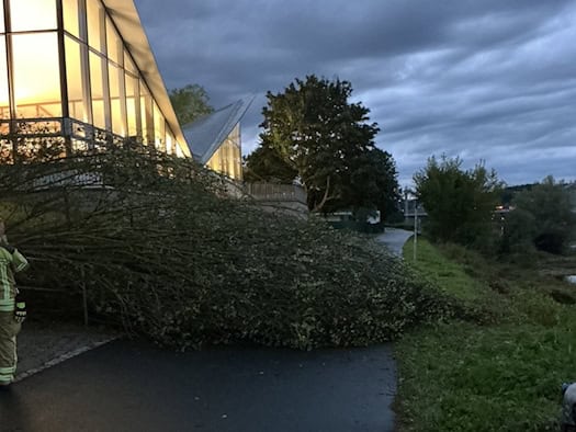 Dämmerungsaufnahme: Ein großer, laubreicher Baum liegt komplett quer über einem nassen, dunklen Asphaltweg direkt neben dem beleuchteten Glasgebäude des Kanuclubs Dresden. Am linken Bildrand steht ein Feuerwehrmann in Einsatzkleidung.