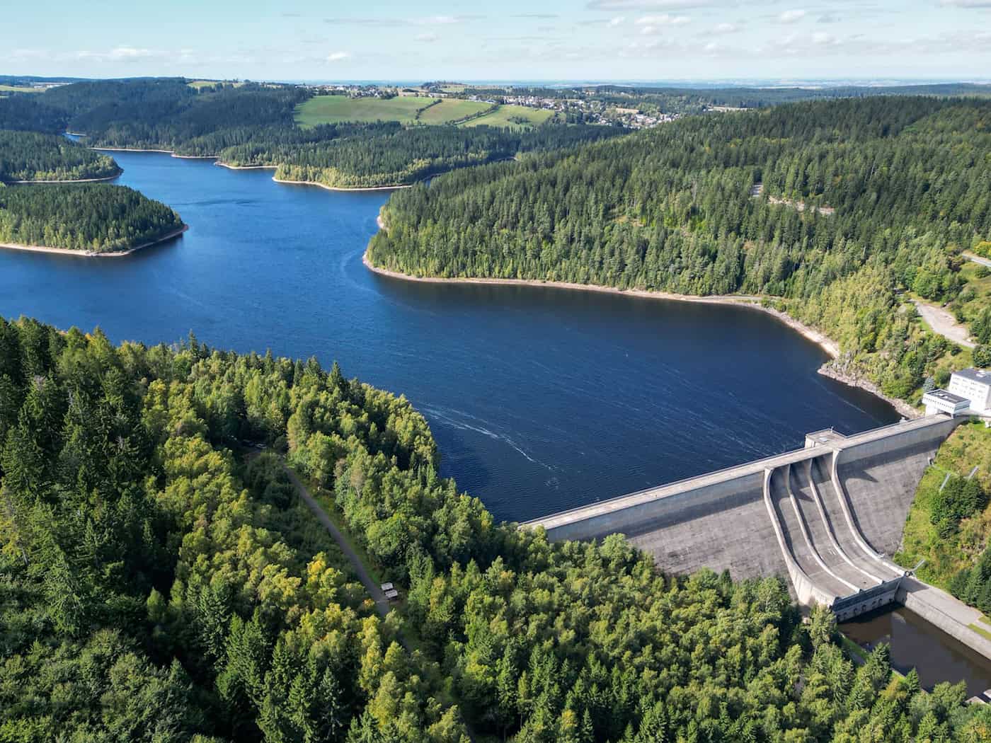 Forest Days Show: Nature Conservation and the Economy Go Hand in Hand