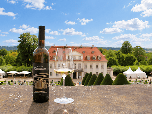 Radebeul: Wein von Schloss Wackerbarth ist „Wein des Jahres“