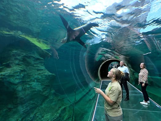 Zoo Leipzig eröffnet Erlebniswelt «Feuerland»