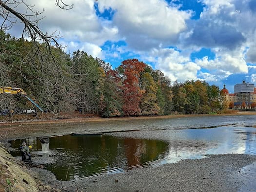 Teilweise abgelassener Teich vor Herbstwald, rechts im Hintergrund Schloss Moritzburg, links ein Kranarm und Arbeiter am Ufer