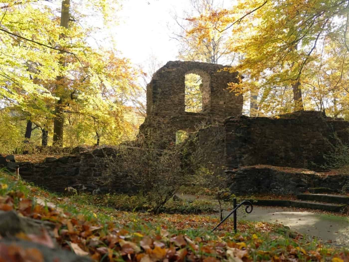 Freiwillige helfen im Klosterpark Altzella