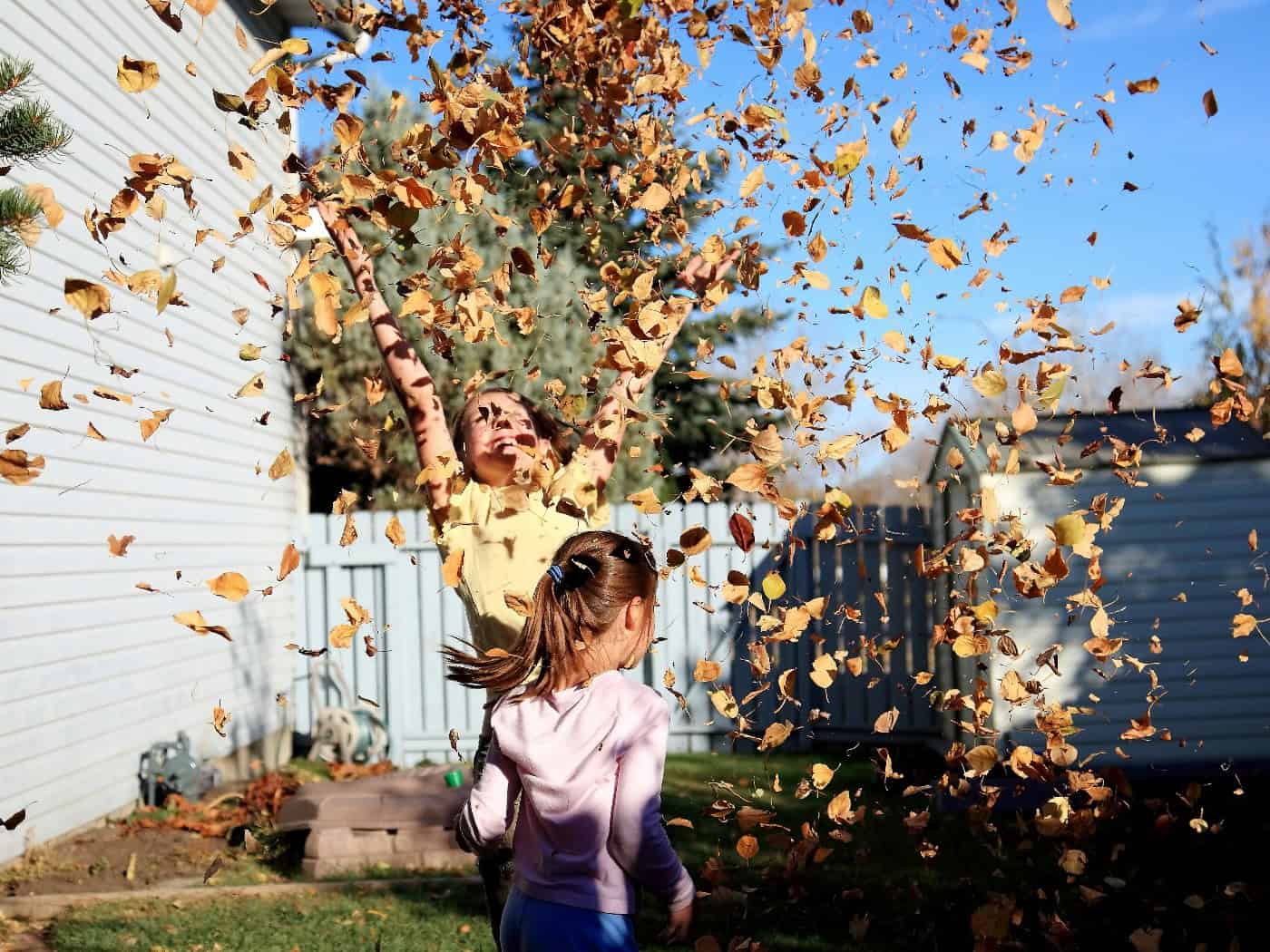 Herbstferien in Dresden: Gratis-Tipps zur Halbzeit, von Freitag bis Sonntag