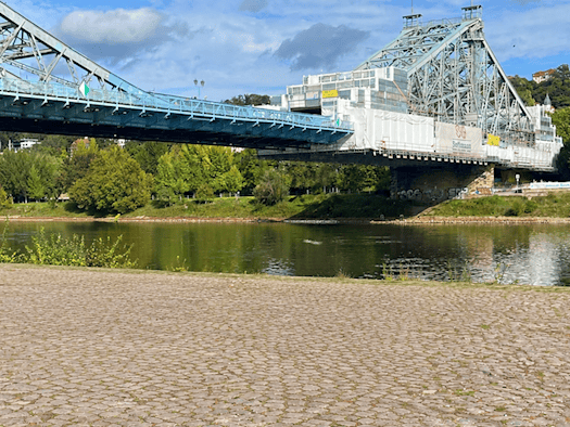 Die hellblaue Stahlkonstruktion des Blauen Wunders spannt sich über die Elbe; am rechten Ufer ist der Brückenpfeiler mit einer weißen Folien-Einhausung für die Sanierungsarbeiten verkleidet, im Vordergrund befindet sich gepflastertes Ufer.