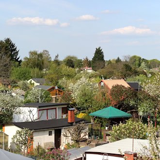 Panoramablick auf eine dicht bewachsene Kleingartenanlage mit zahlreichen kleinen Gartenhäusern, blühenden Bäumen und dichtem Grün unter leicht bewölktem, blauem Himmel. (Symbolbild)