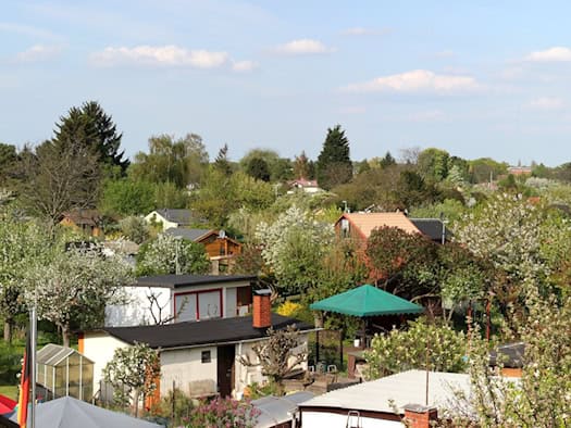 Panoramablick auf eine dicht bewachsene Kleingartenanlage mit zahlreichen kleinen Gartenhäusern, blühenden Bäumen und dichtem Grün unter leicht bewölktem, blauem Himmel. (Symbolbild)