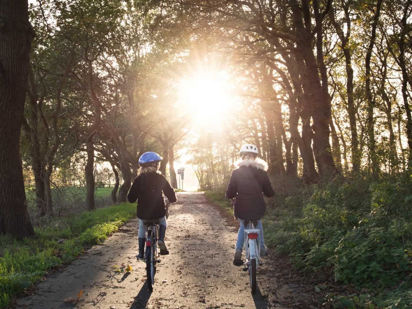 Zwei Kinder, von hinten fotografiert, fahren auf ihren Fahrrädern mit Helmen einen baumgesäumten Weg entlang. Am Ende des Weges bricht helles Sonnenlicht durch die Bäume, was einen starken Gegenlichteffekt erzeugt.  SEO-Dateinamen