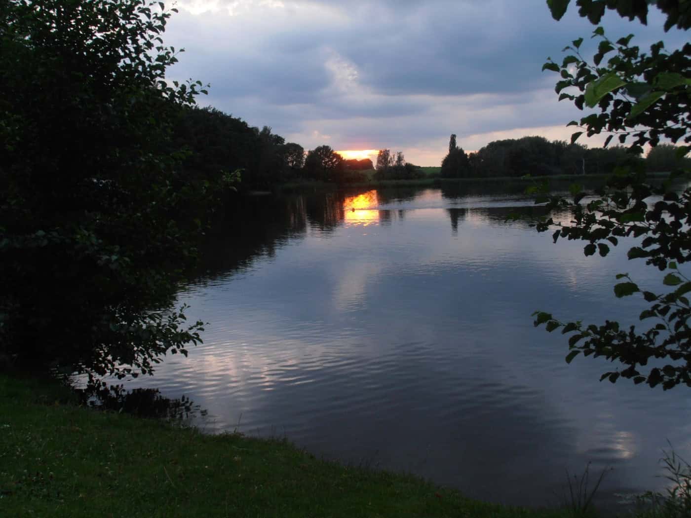 Abendstimmung am Dippelsdorfer Teich, die untergehende Sonne spiegelt sich im Wasser, am Ufer Bäume und Wiese