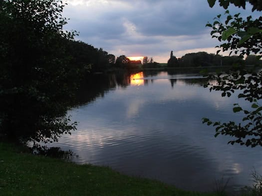 Abendstimmung am Dippelsdorfer Teich, die untergehende Sonne spiegelt sich im Wasser, am Ufer Bäume und Wiese