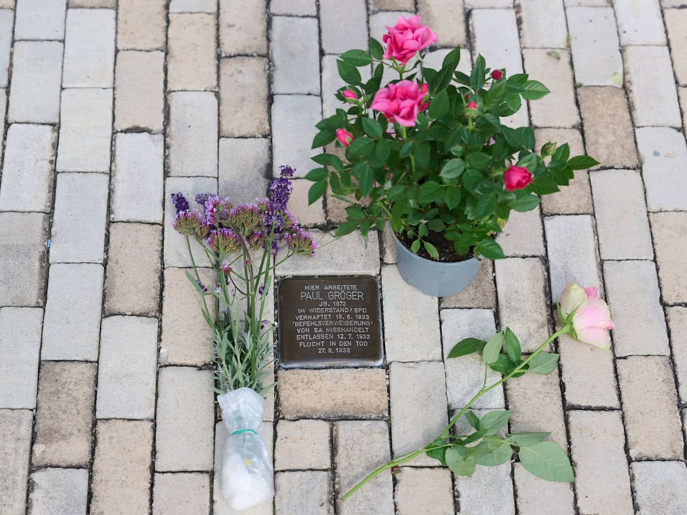 Greens Call for Review of Heidenau's "Stolperstein" Resolution