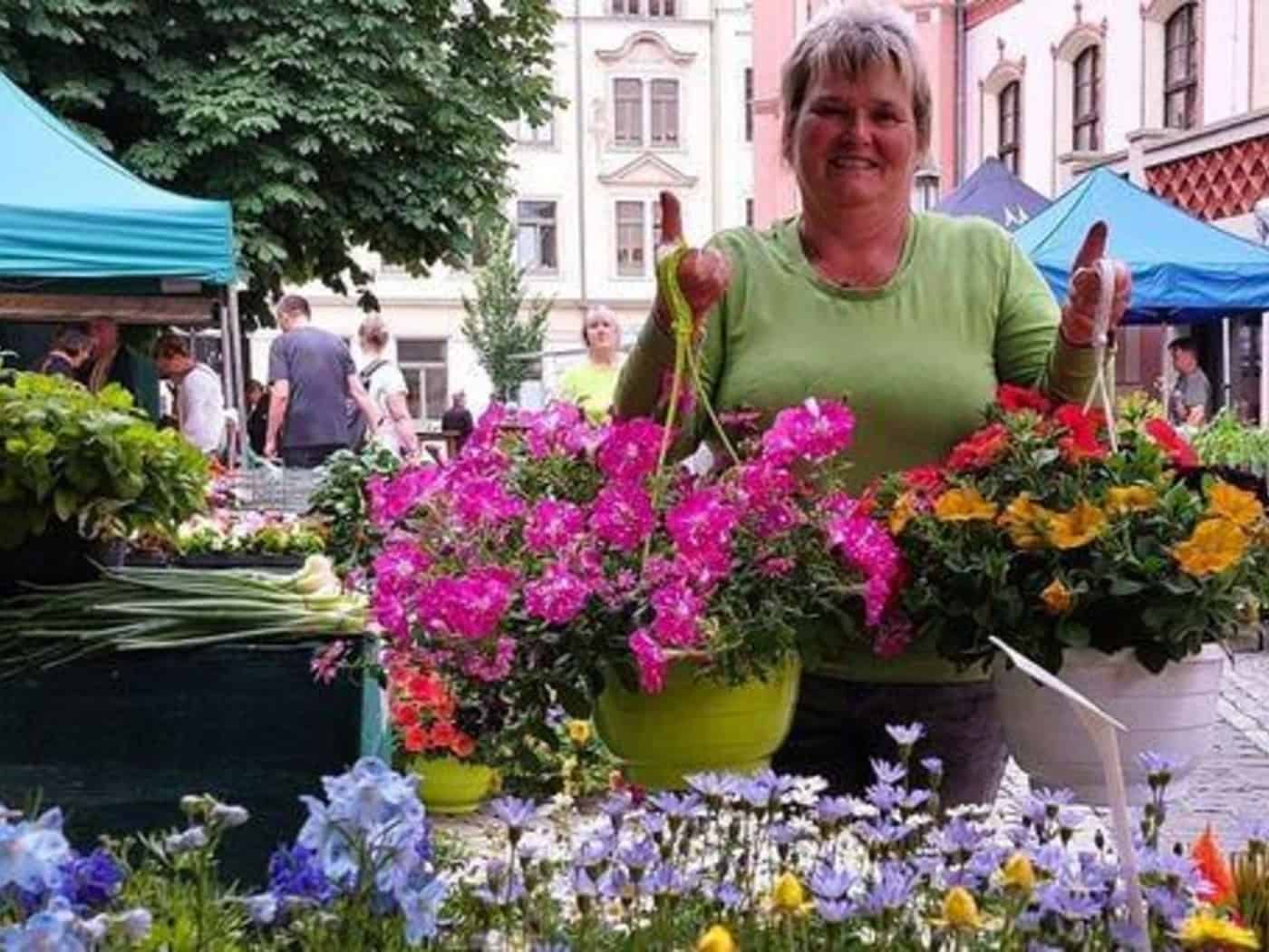 Grünmarkt-Händlerin Kerstin Rudolph von Gartenbau Rudolph, die nach elf Jahren ihre Teilnahme am Meißner Grünmarkt beendet.