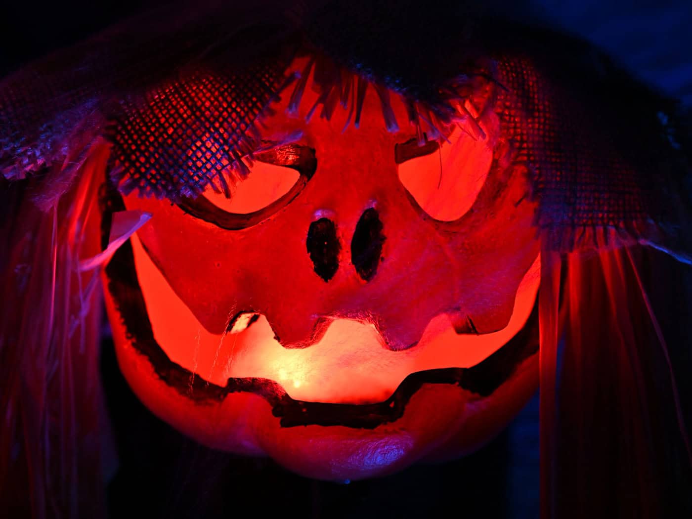 From Spooky Gardens to Ghost Parties—Halloween Tips for Saxony
