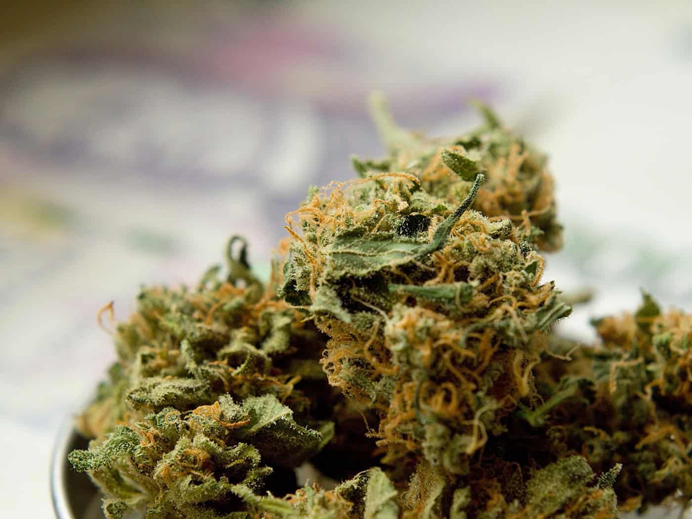 Prag: Immer mehr Jugendliche nach Konsum von Cannabinoiden im Krankenhaus