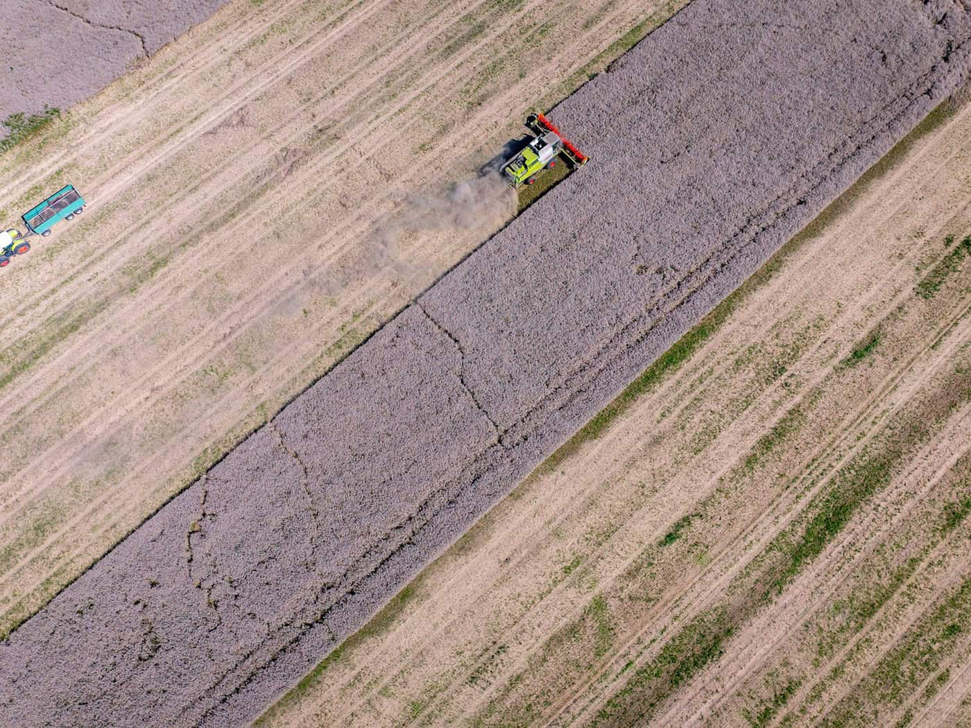 Ost-Agrarminister fordern Einsatz vom Bund für Großbetriebe