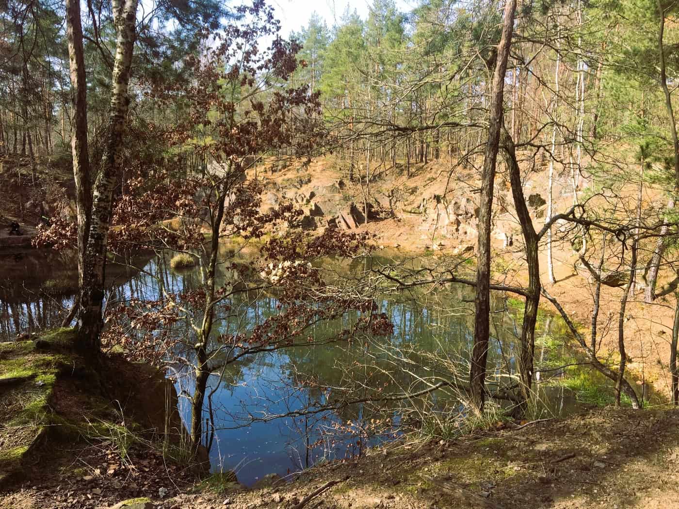 Herbst-Reinigungsaktion im Friedewald geplant