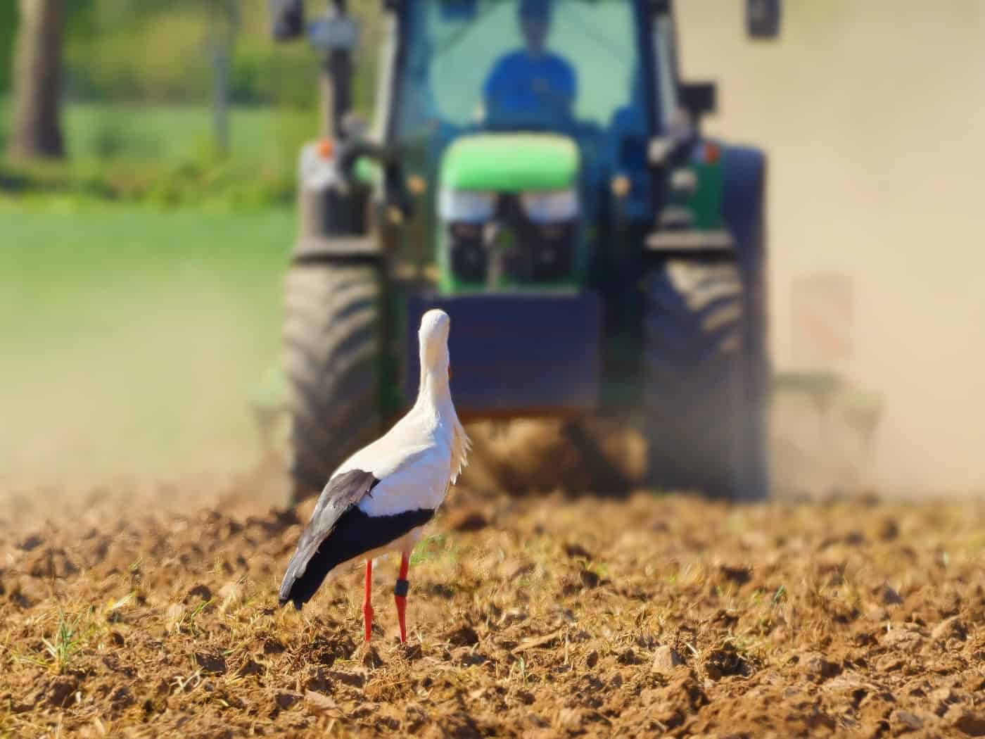 Traktor in Einzelteile zerlegt – Täter flüchten mit Beute