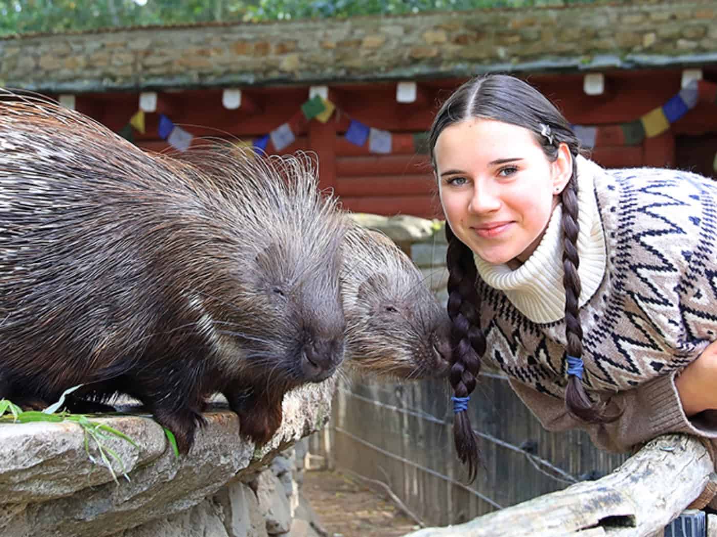 Herbstferien im Naturschutz-Tierpark Görlitz-Zgorzelec