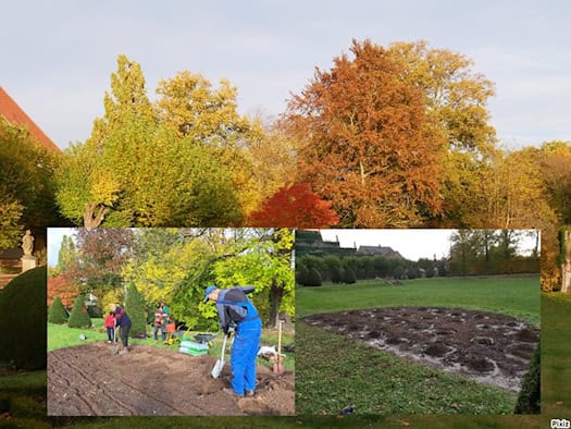 Collage mit Herbstbäumen im Schlosspark Seußlitz, darunter Gärtner beim Anlegen des Rosenbeets und die vorbereitete Fläche