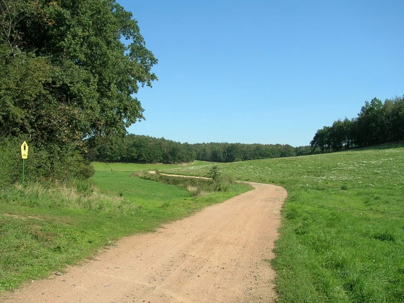 Sandweg zwischen Wiesen und Waldrändern in der Kleinkuppenlandschaft bei Volkersdorf