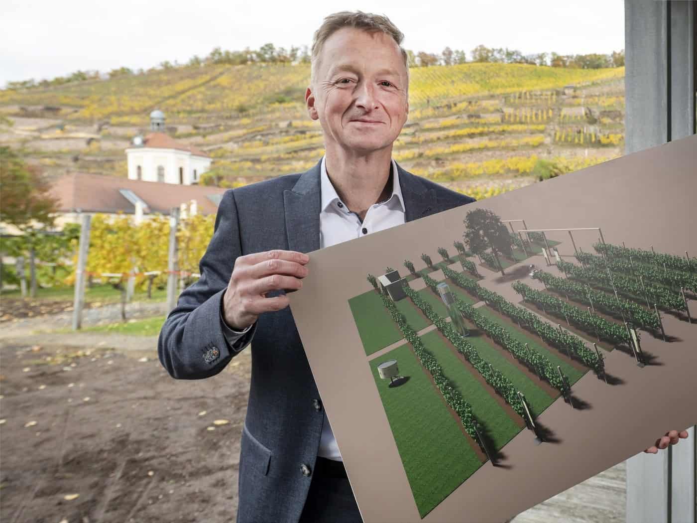 Mann im Sakko hält eine Visualisierung eines Rebenfelds, dahinter Weinberge und das Belvedere von Schloss Wackerbarth