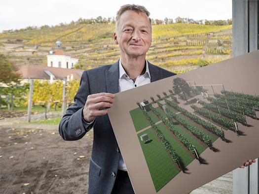 Mann im Sakko hält eine Visualisierung eines Rebenfelds, dahinter Weinberge und das Belvedere von Schloss Wackerbarth