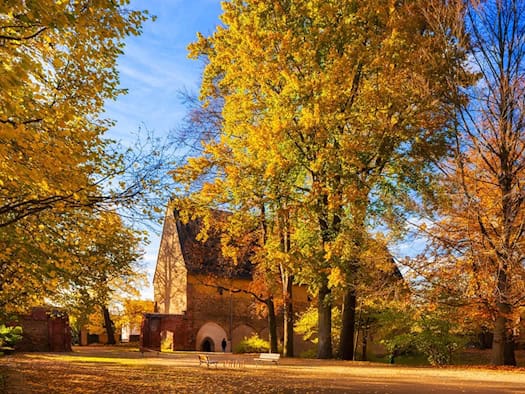 Ein mittelalterliches Backsteingebäude mit steilem Dach steht hinter hohen Bäumen mit gelb und orange leuchtendem Herbstlaub, davor ein mit Laub bedeckter Platz mit zwei Parkbänken unter blauem Himmel.