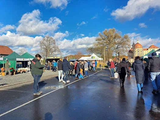 Besucher laufen über eine regennasse Straße zwischen grünen und weißen Marktzelten beim Fisch- und Waldfest in Moritzburg, rechts im Hintergrund die gelben Türme von Schloss Moritzburg unter blauem Himmel.