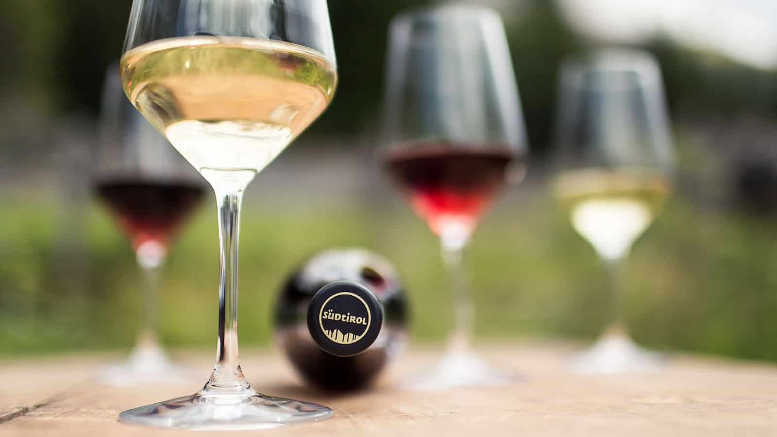 Dresden: South Tyrolean Wines at the Bülow Palais
