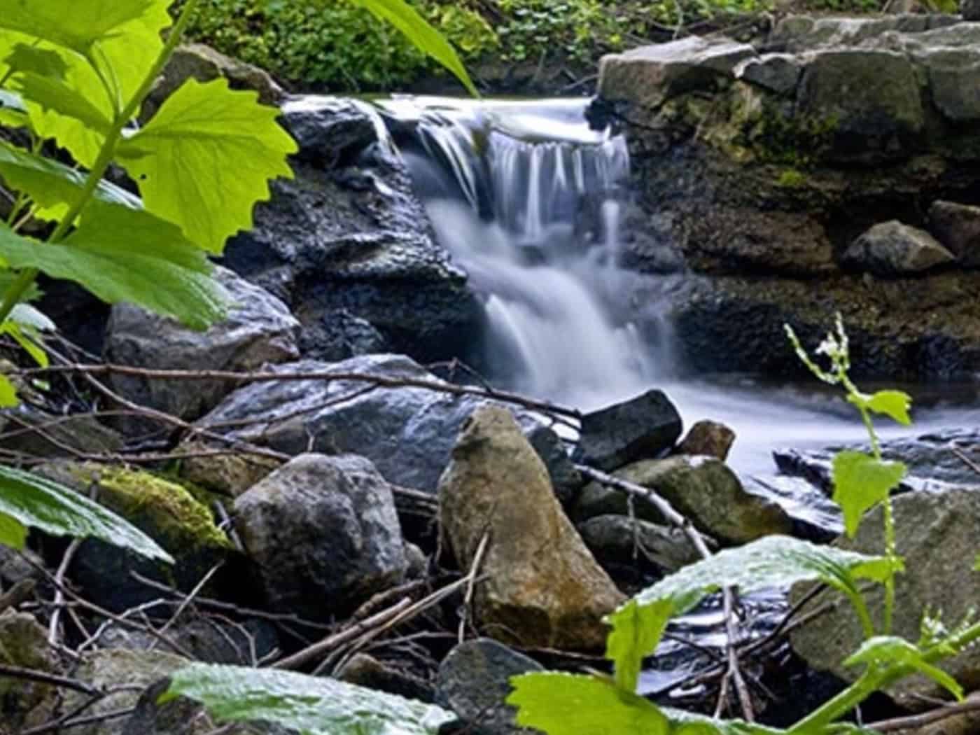 Mineralwasser