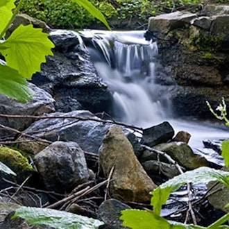 Mineralwasser
