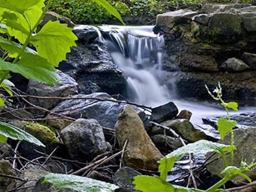Mineralwasser
