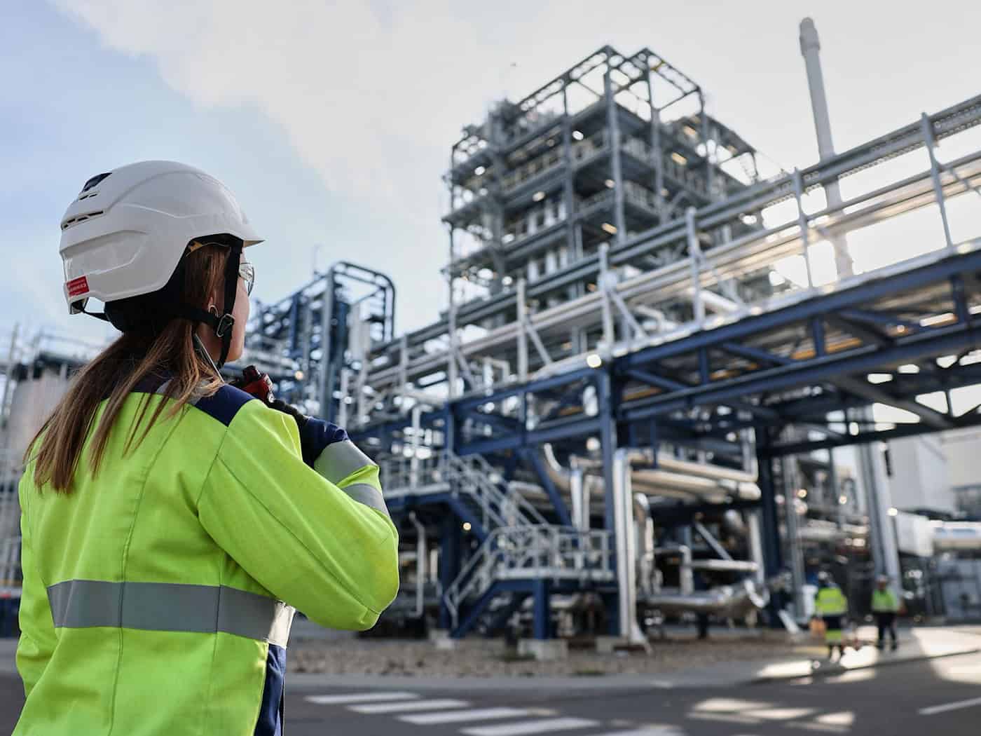 Jak se z bukového dřeva vyrábí surovina pro pneumatiky a oděvy