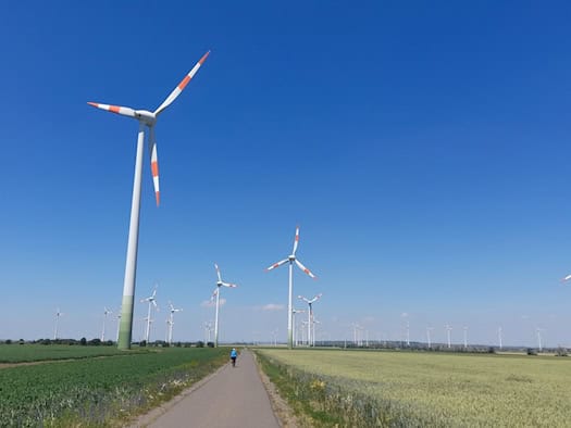 Windkraftanlagen auf Feldern an einem asphaltierten Weg unter blauem Himmel