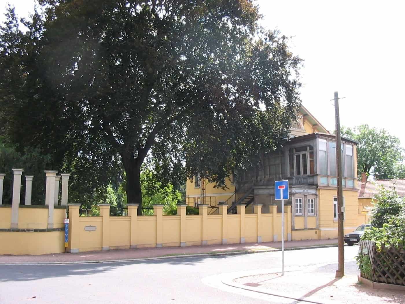 Gelbe Villa hinter einer Mauer mit Pfeilern, davor ein großer Laubbaum