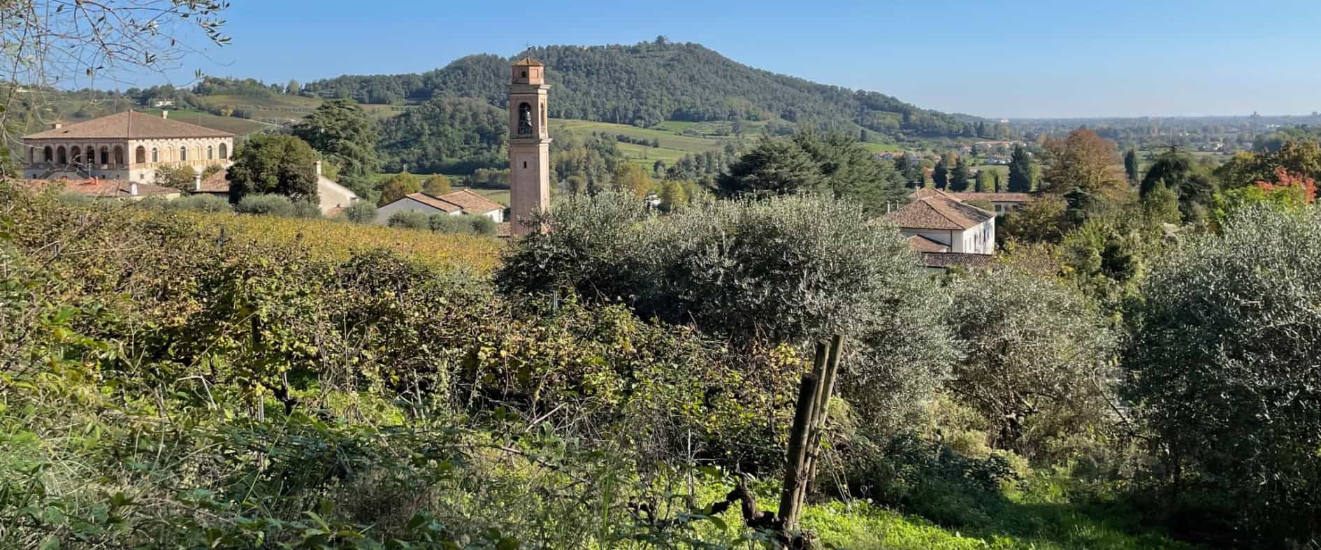 Foto zu Italienisches Lebensgefühl in Venetien: Padua entspannt entdecken