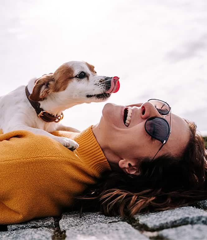 Lachende Frau wird von ihrem Hund liebevoll im Gesicht abgeleckt