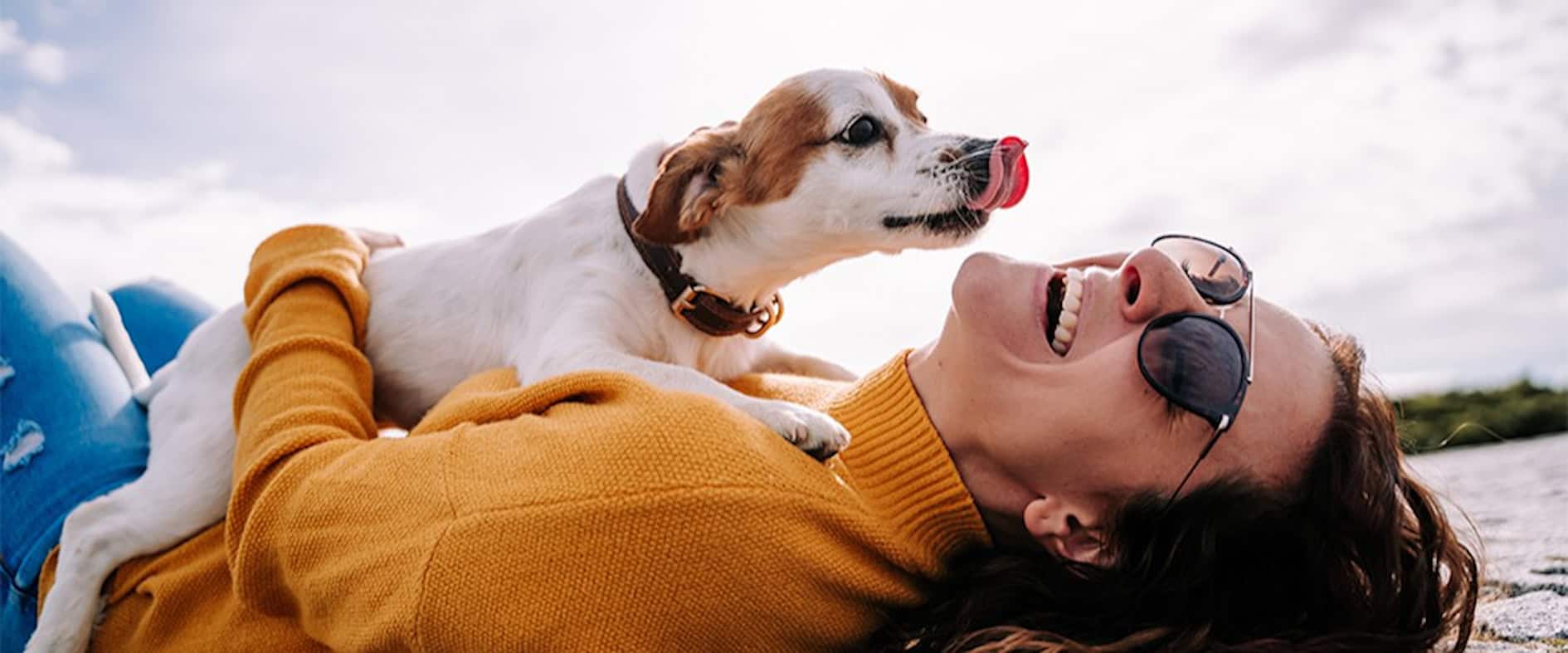 Lachende Frau wird von ihrem Hund liebevoll im Gesicht abgeleckt