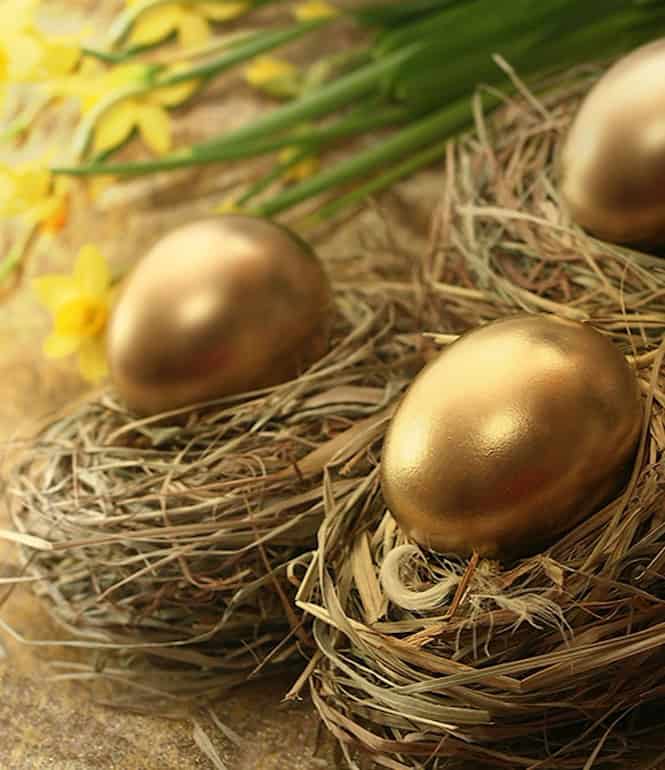 Drei goldene Ostereier in einem Nest umgeben von blühenden Narzissen