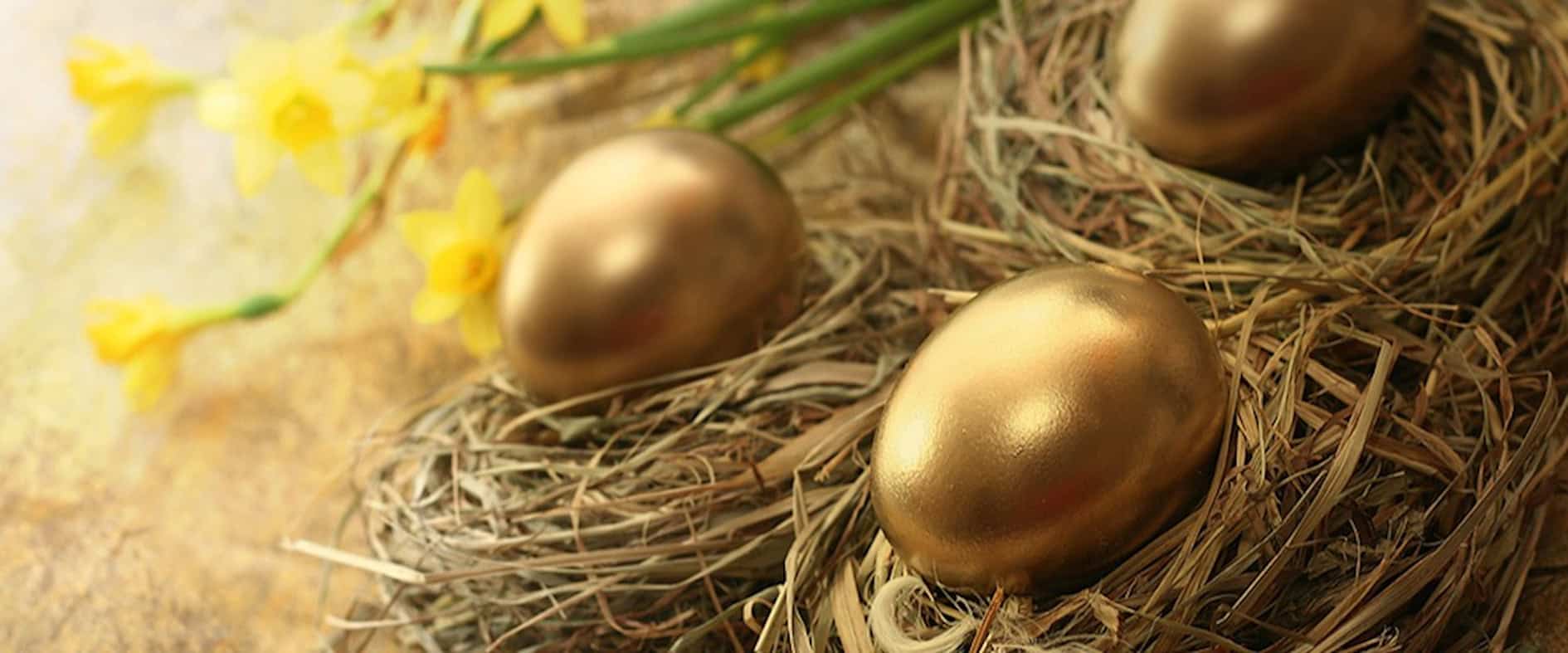 Drei goldene Ostereier in einem Nest umgeben von blühenden Narzissen