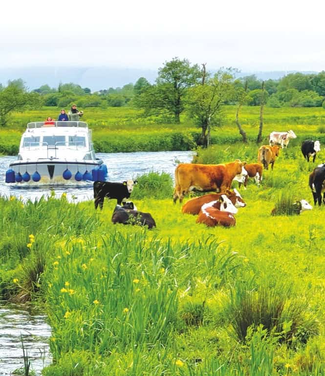 Foto zu Mit dem Hausboot durch Irlands grüne Mitte