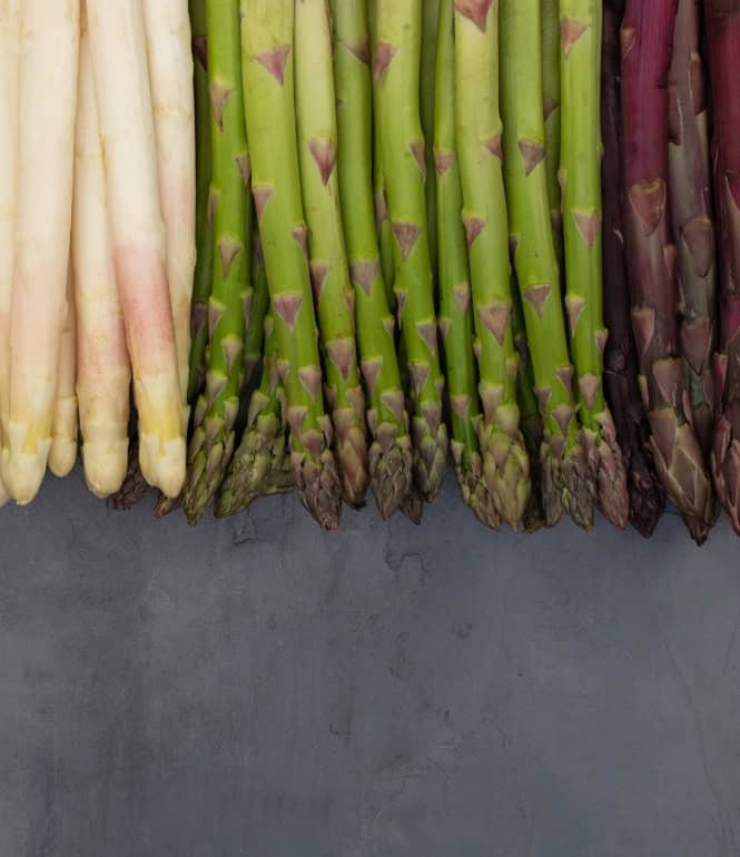 Foto zu Weiß, grün, violett: Wissenswertes rund um Spargel