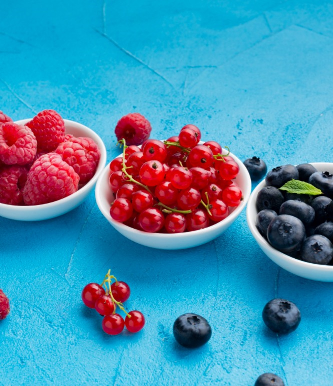 Drei weiße Schalen mit frischen Himbeeren, roten Johannisbeeren und Heidelbeeren auf blauem Hintergrund – Sommerbeeren in ihrer ganzen Vielfalt.