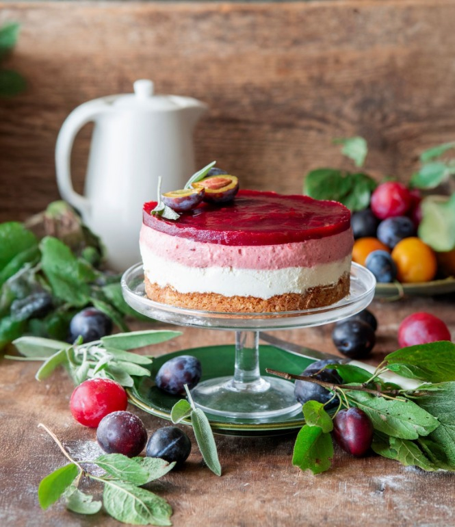 Zwetschgentorte ohne Backen mit Keksboden, weißer Schokoladenschicht und Zwetschgencreme, dekoriert mit frischen Zwetschgen auf einer Glasplatte.