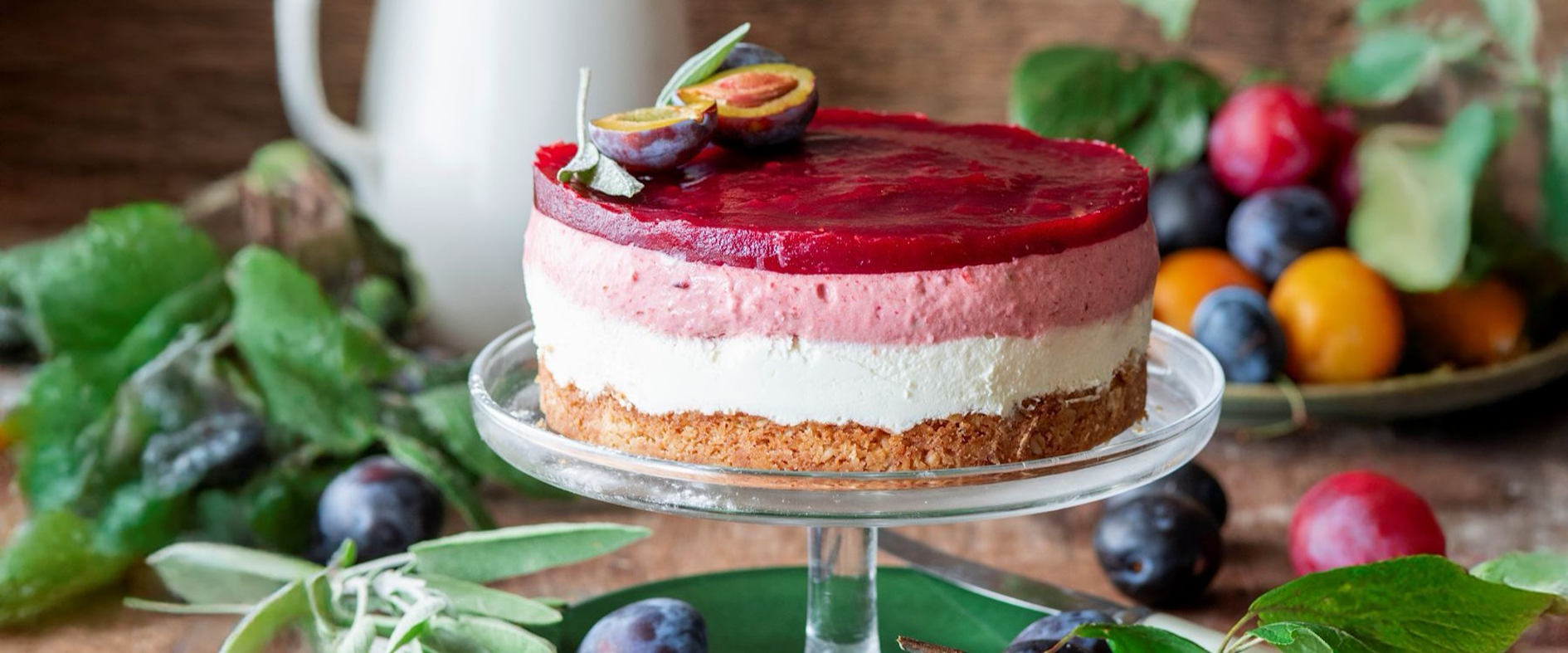 Zwetschgentorte ohne Backen mit Keksboden, weißer Schokoladenschicht und Zwetschgencreme, dekoriert mit frischen Zwetschgen auf einer Glasplatte.